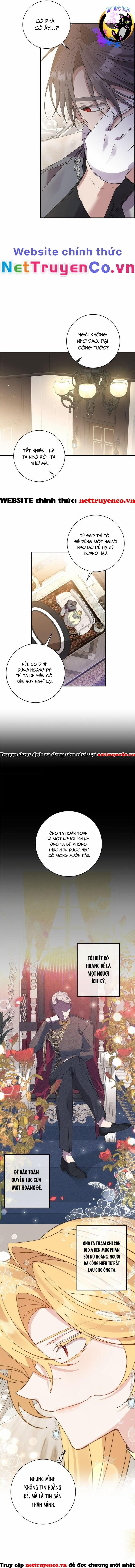 Đeo Bám Tôi Cũng Vô Ích Thôi 72 trang 7