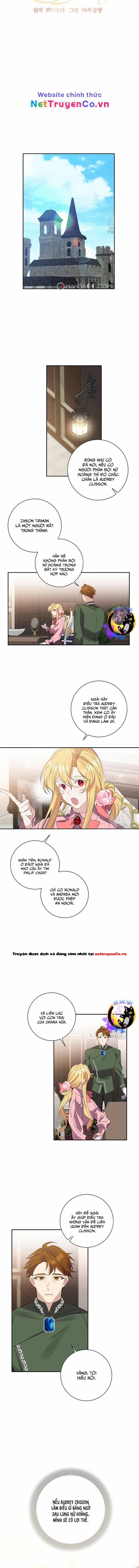 Đeo Bám Tôi Cũng Vô Ích Thôi 81 trang 6