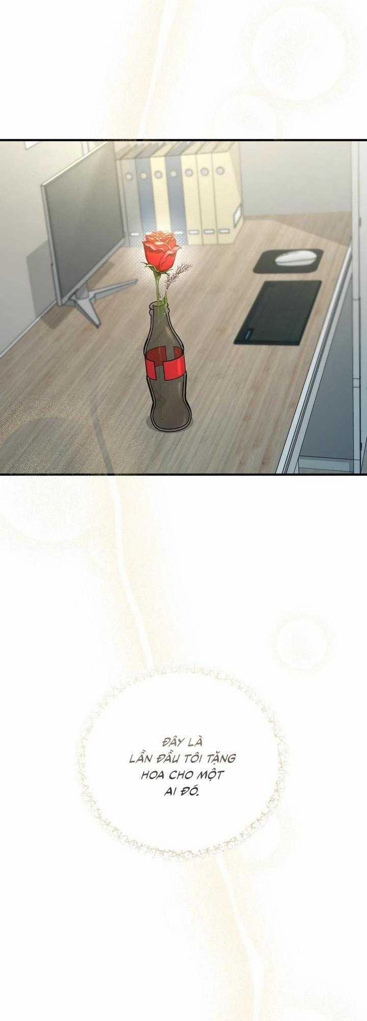 Dẻo Dai Và Mềm Mại 19 trang 3