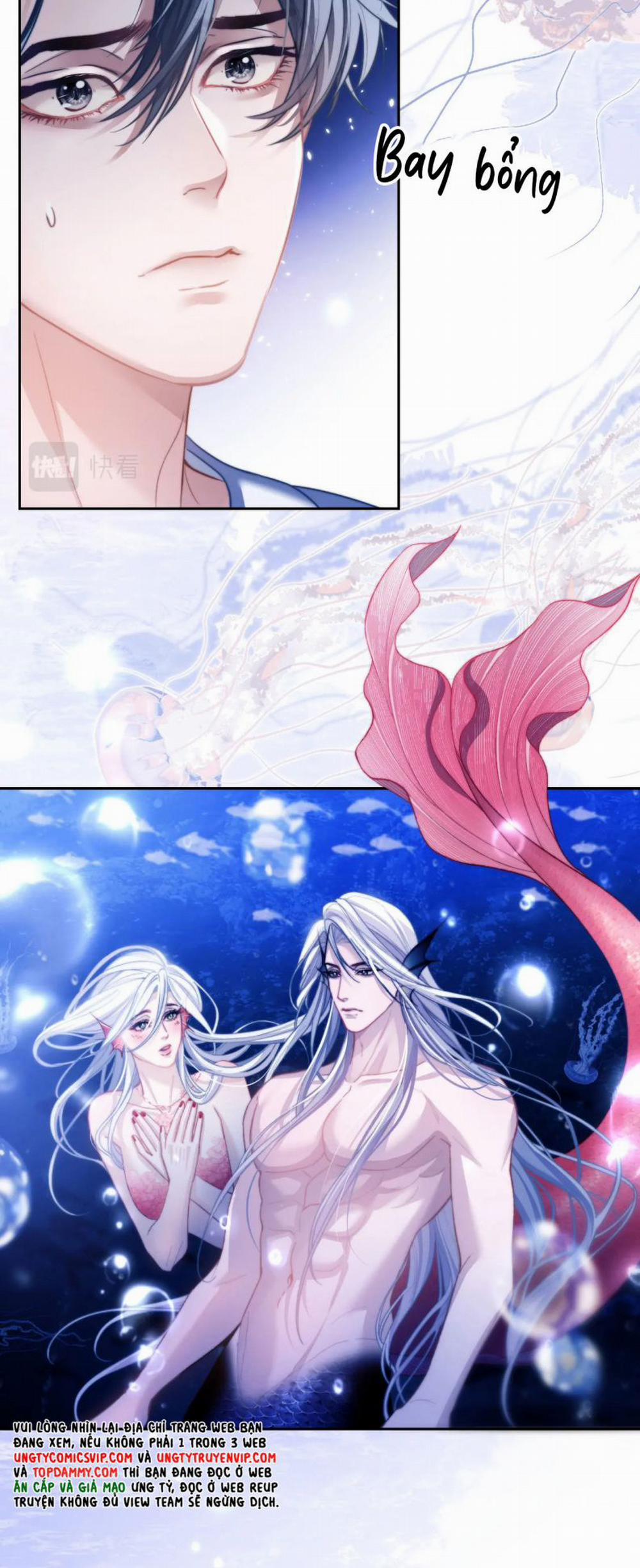 Desharow Nhân Ngư 12 trang 17