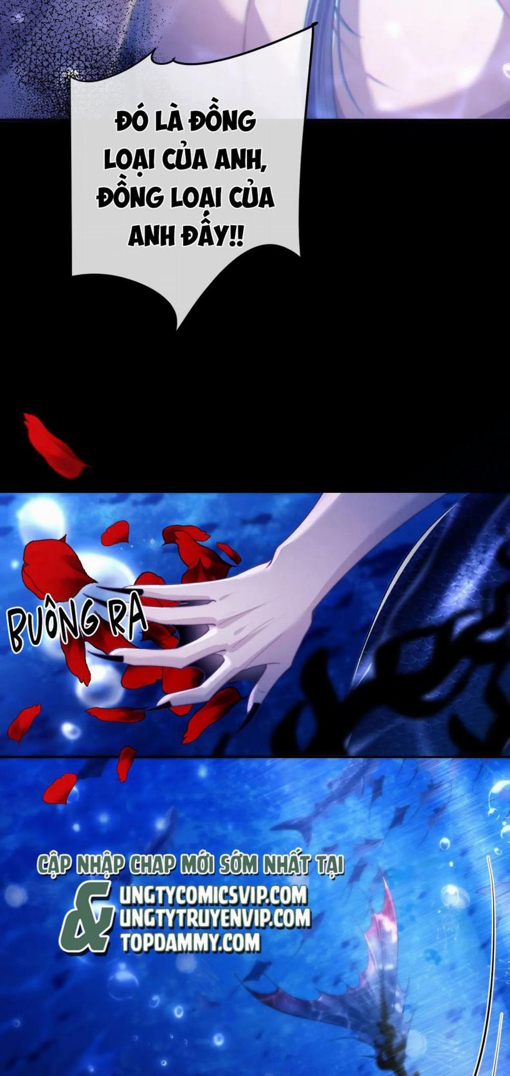 Desharow Nhân Ngư 12 trang 25