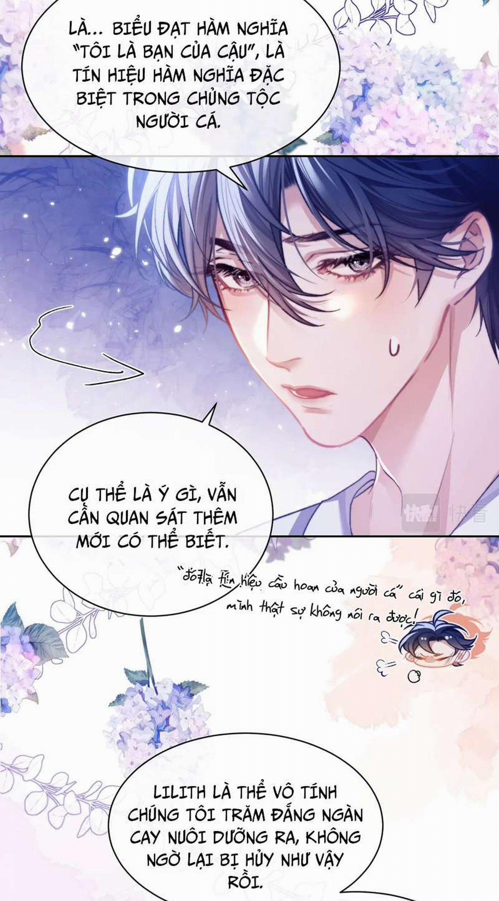 Desharow Nhân Ngư 13 trang 2