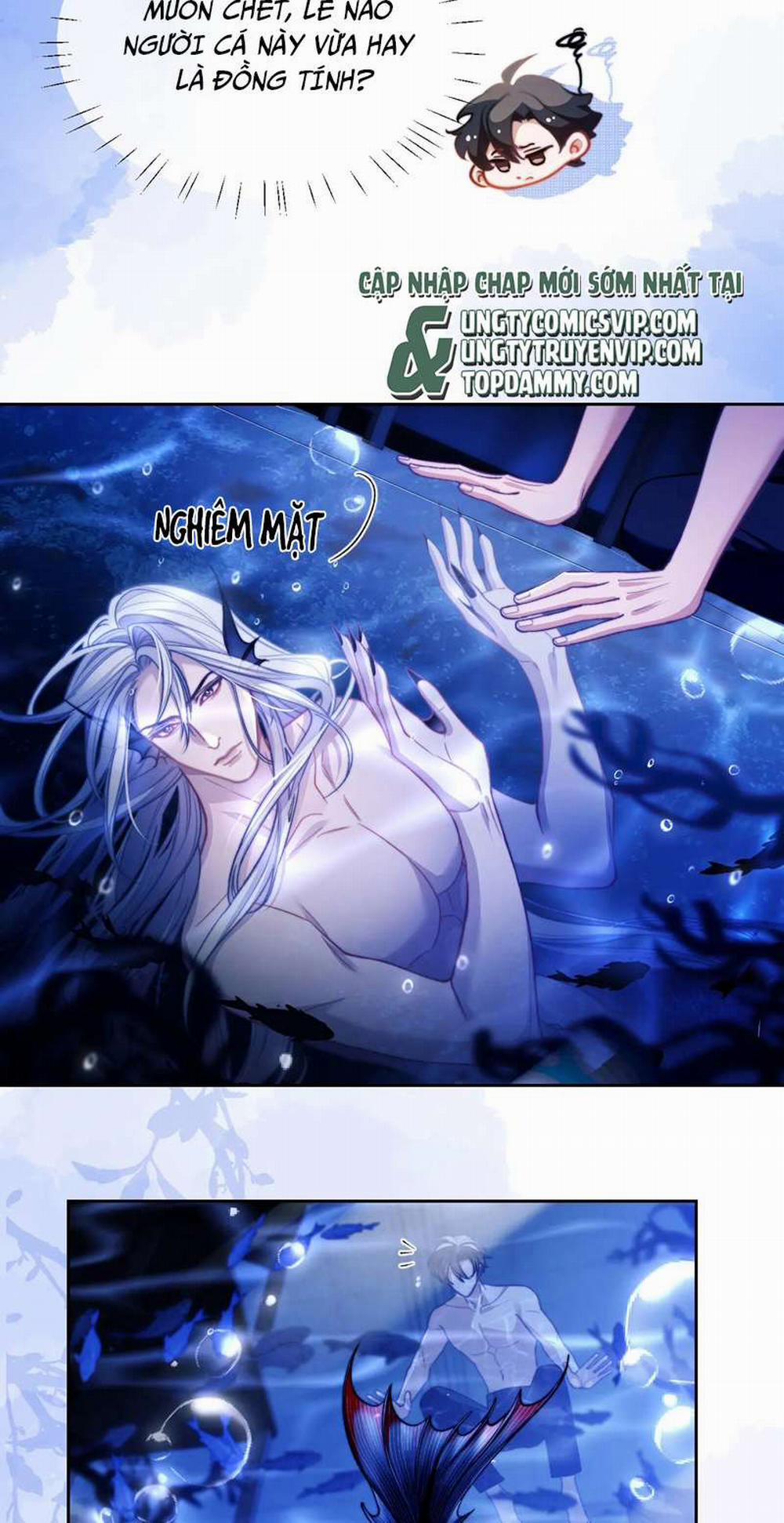 Desharow Nhân Ngư 14 trang 7