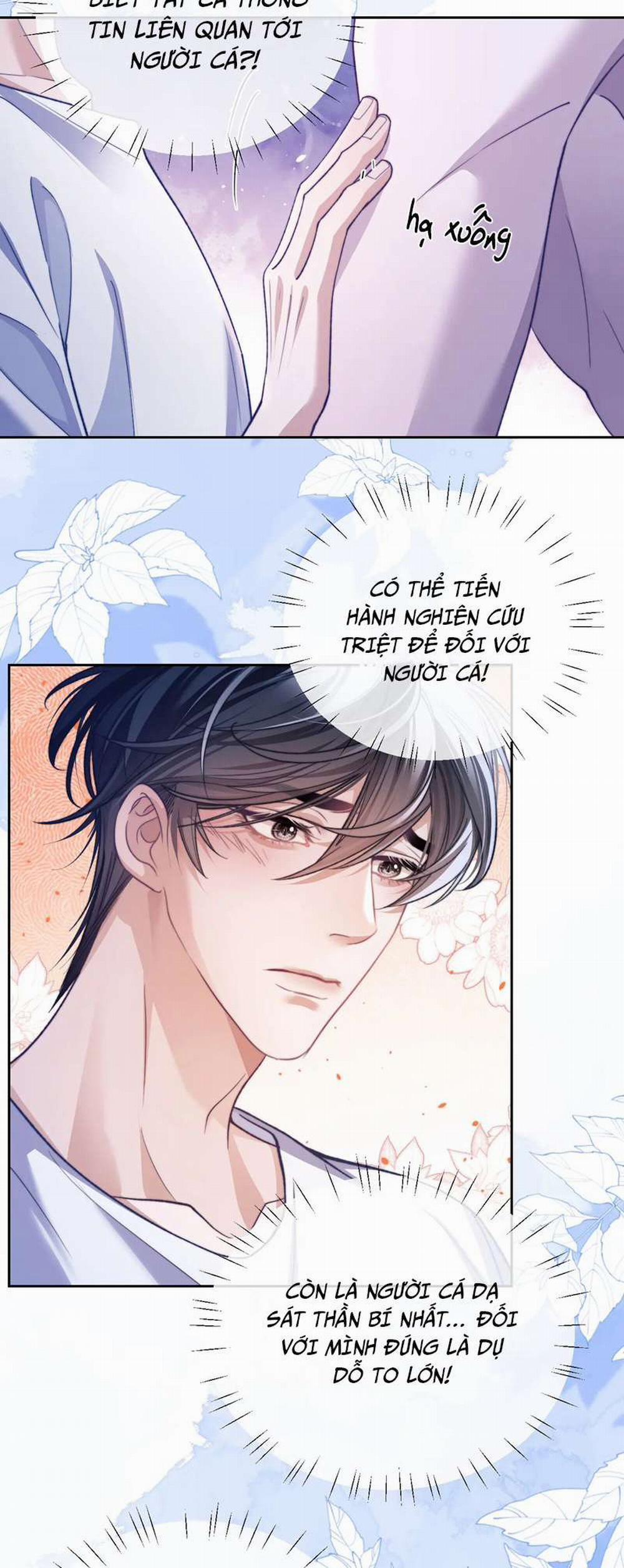 Desharow Nhân Ngư 16 trang 10