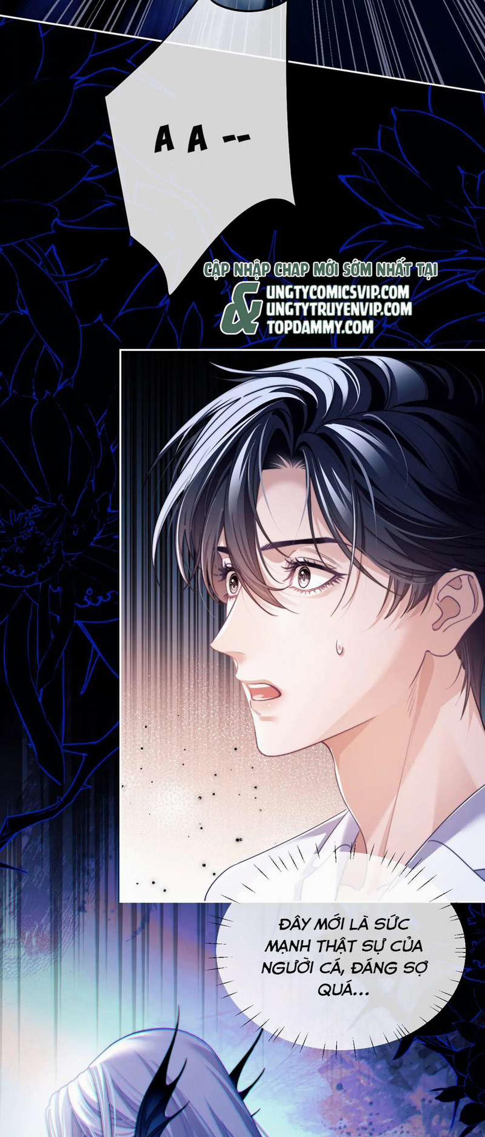 Desharow Nhân Ngư 24 trang 7