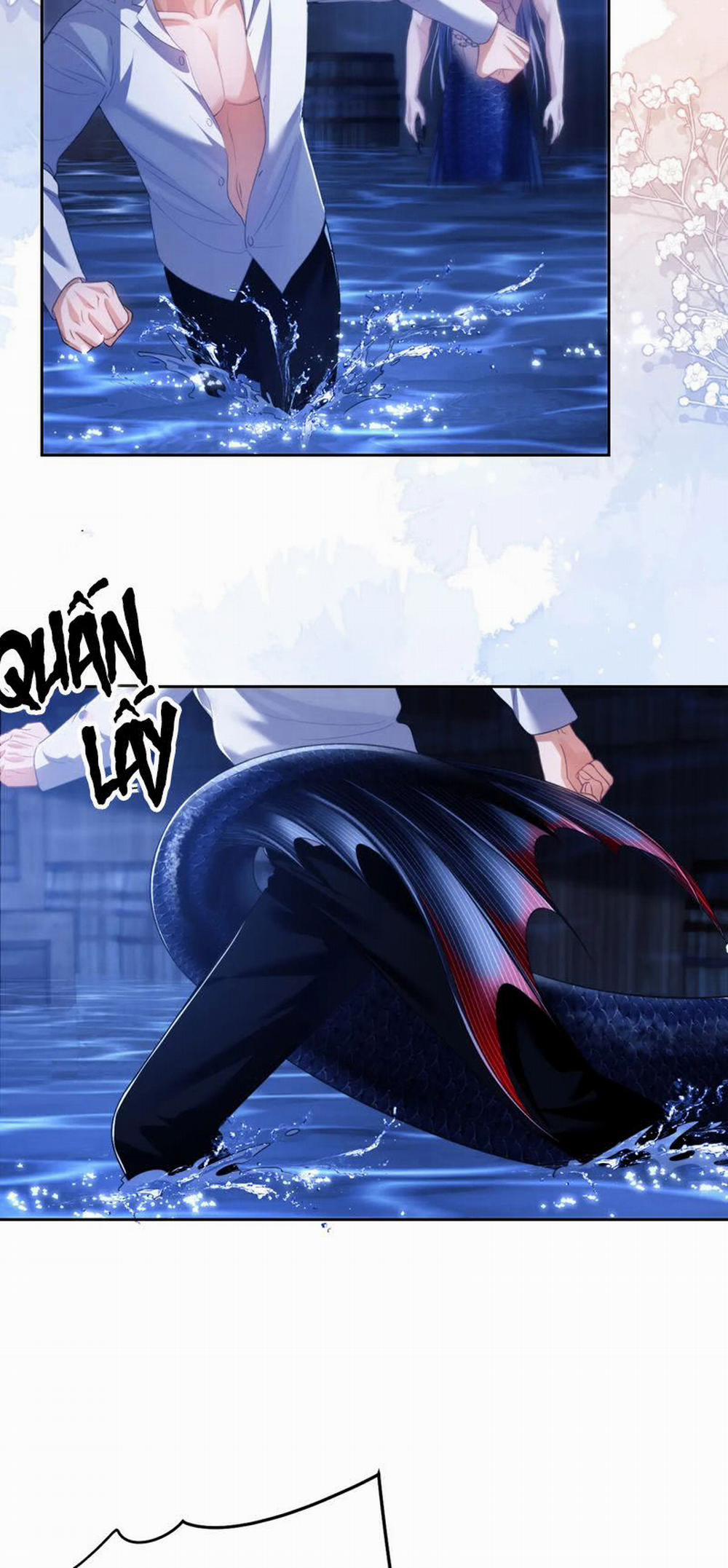 Desharow Nhân Ngư 27 trang 17