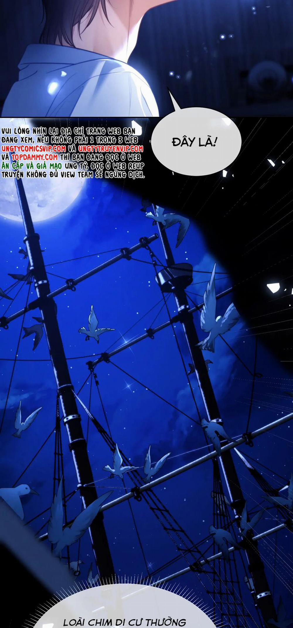 Desharow Nhân Ngư 29 trang 15