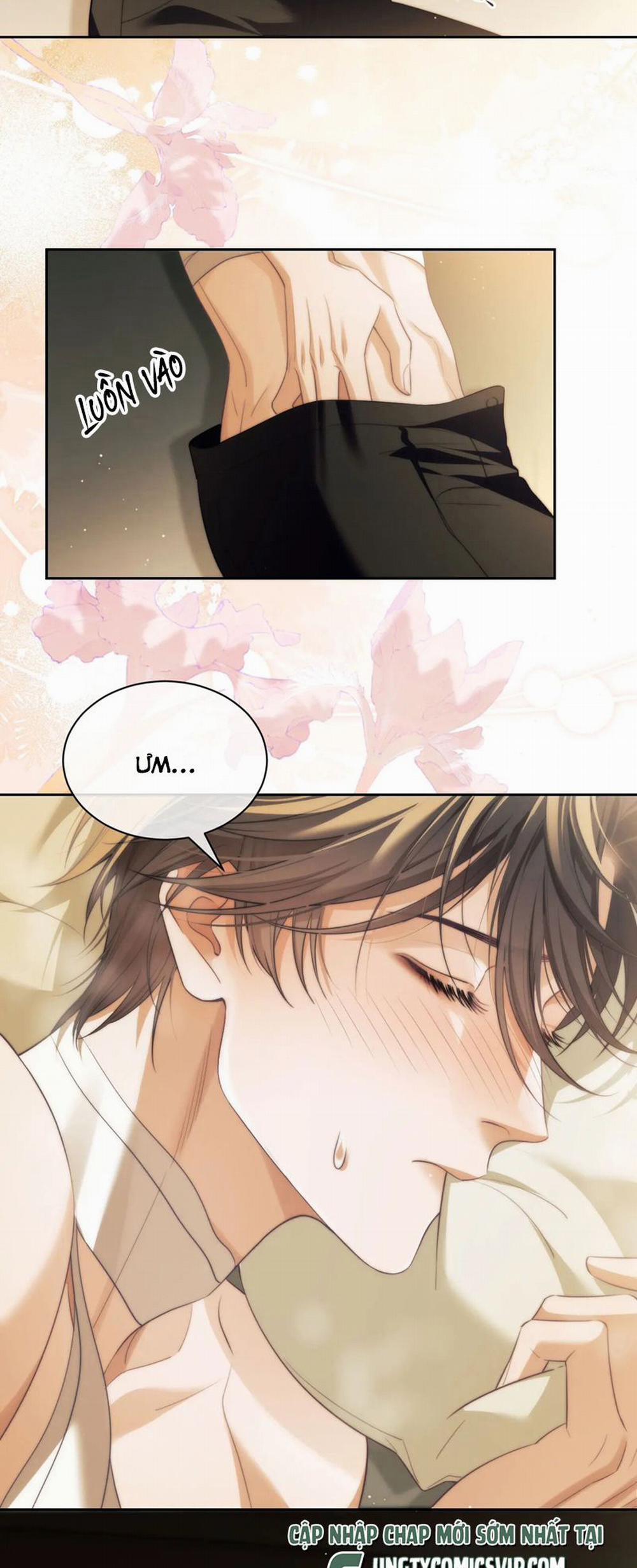 Desharow Nhân Ngư 36 trang 4