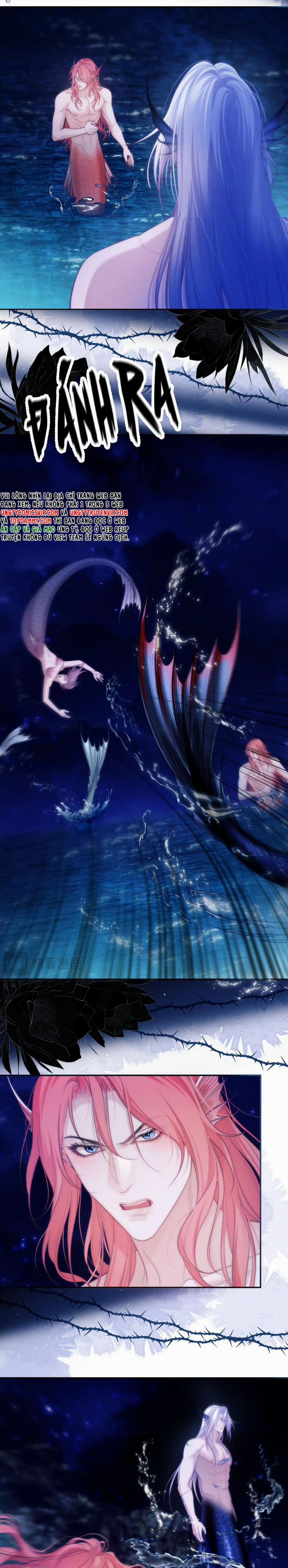 Desharow Nhân Ngư 42 trang 8