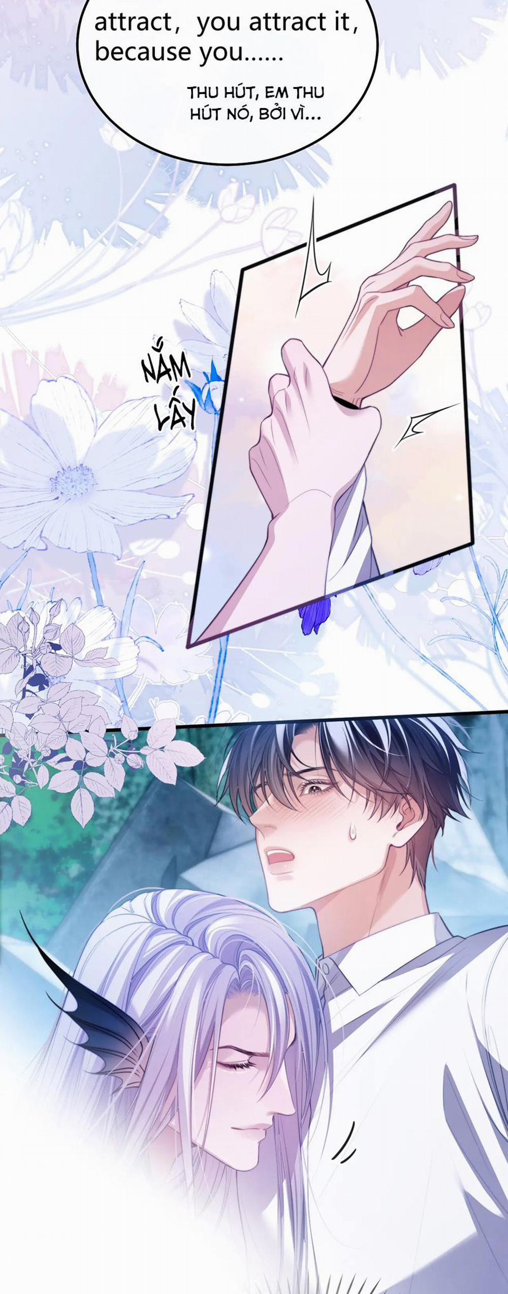 Desharow Nhân Ngư 52 trang 3