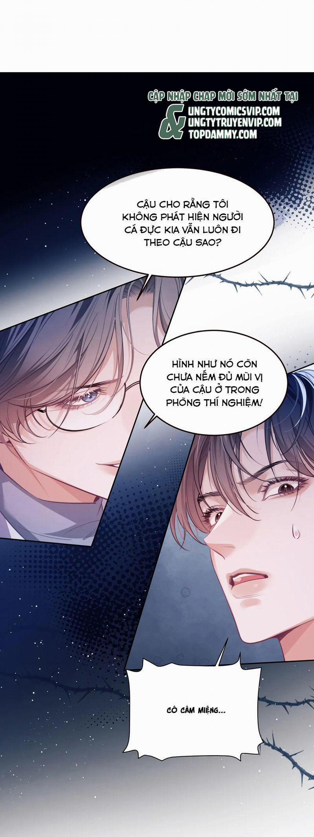 Desharow Nhân Ngư 54 trang 1