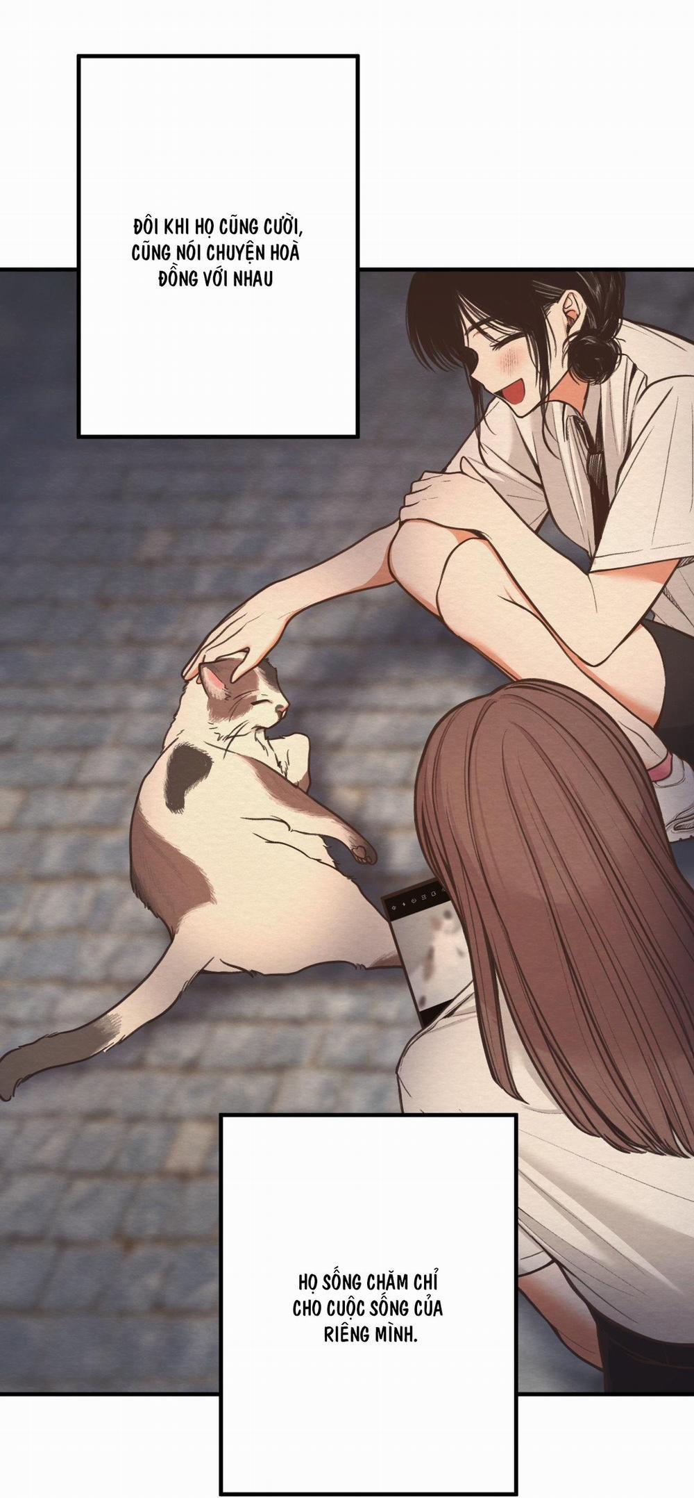 Devil On Top 8 trang 13