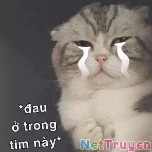 Dị Giới Thất Cách 17 trang 17