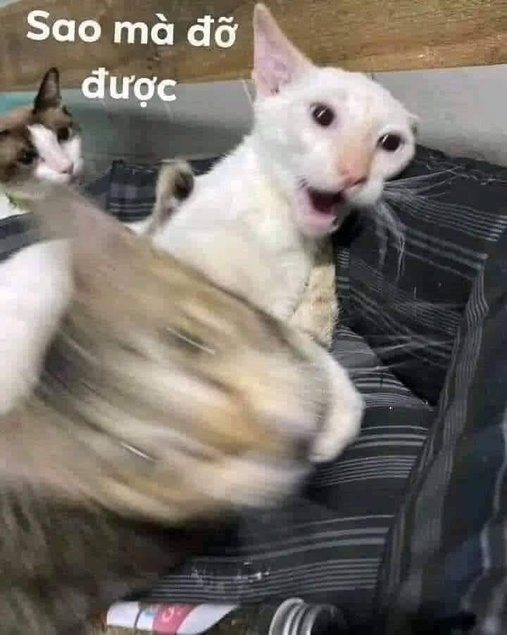 Dị Giới Thất Cách 23 trang 1