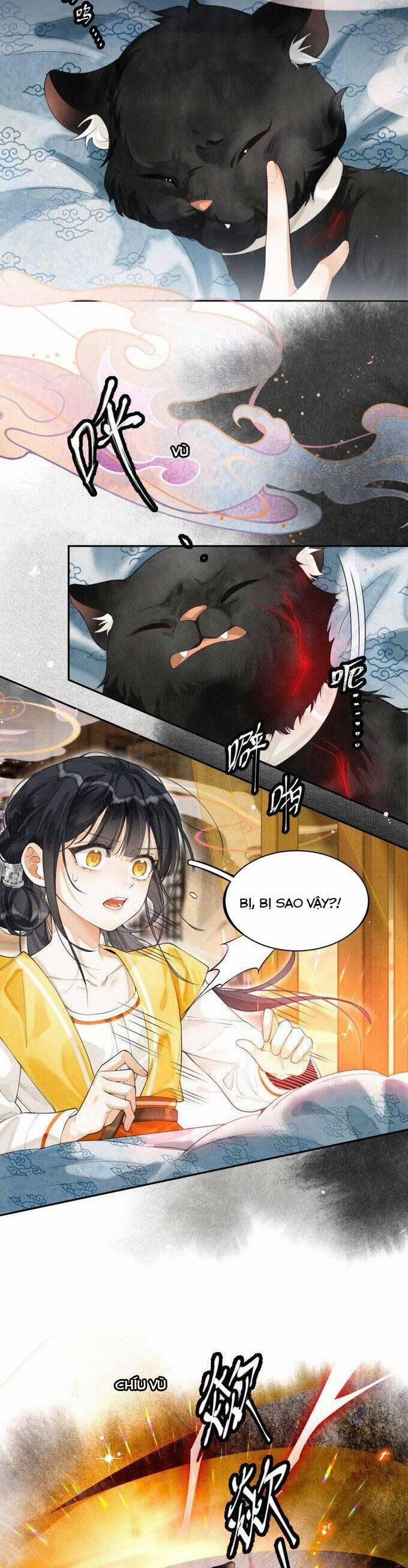 Đi Thi Thôi Nào , Tiểu Hắc Báo 1 trang 19