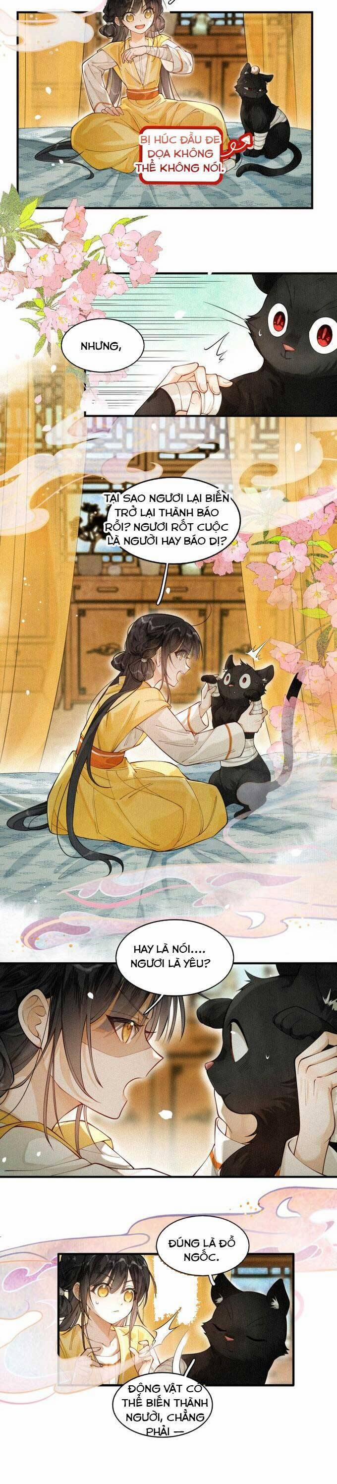 Đi Thi Thôi Nào , Tiểu Hắc Báo 2 trang 14