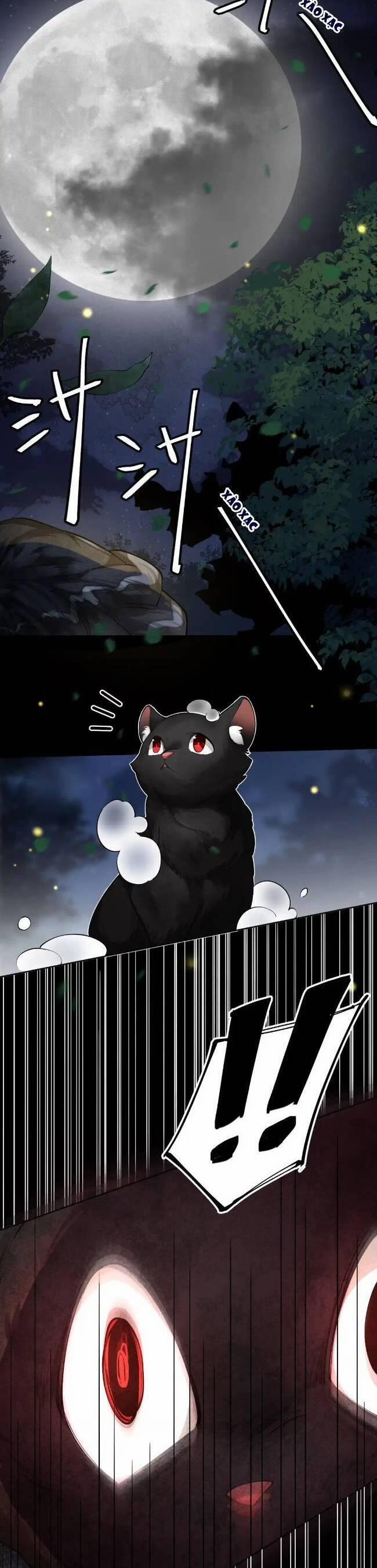 Đi Thi Thôi Nào , Tiểu Hắc Báo 4 trang 16