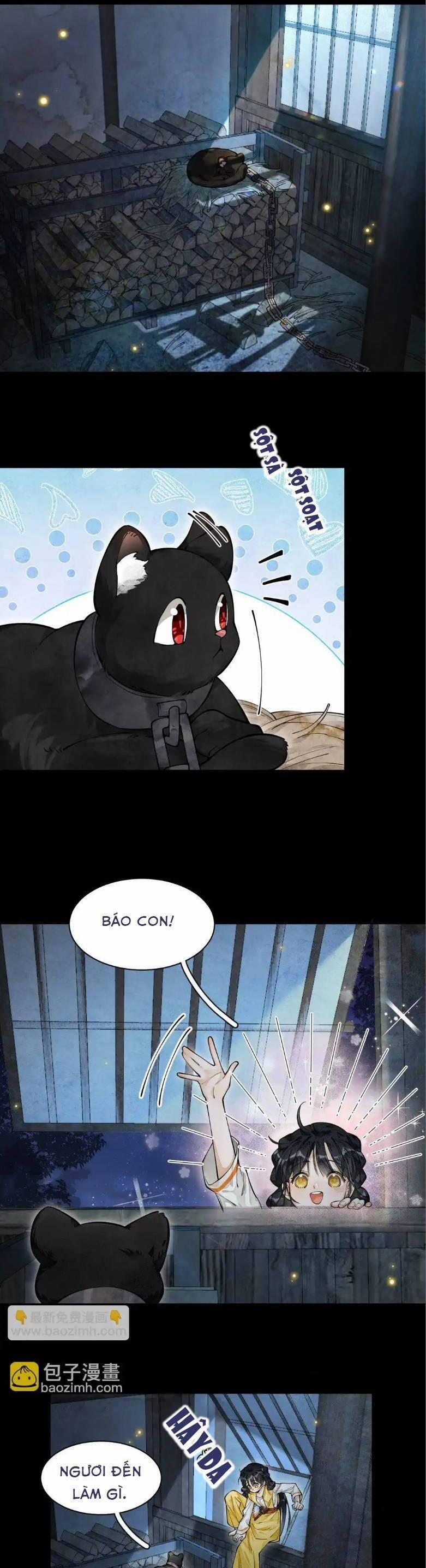 Đi Thi Thôi Nào , Tiểu Hắc Báo 8 trang 1