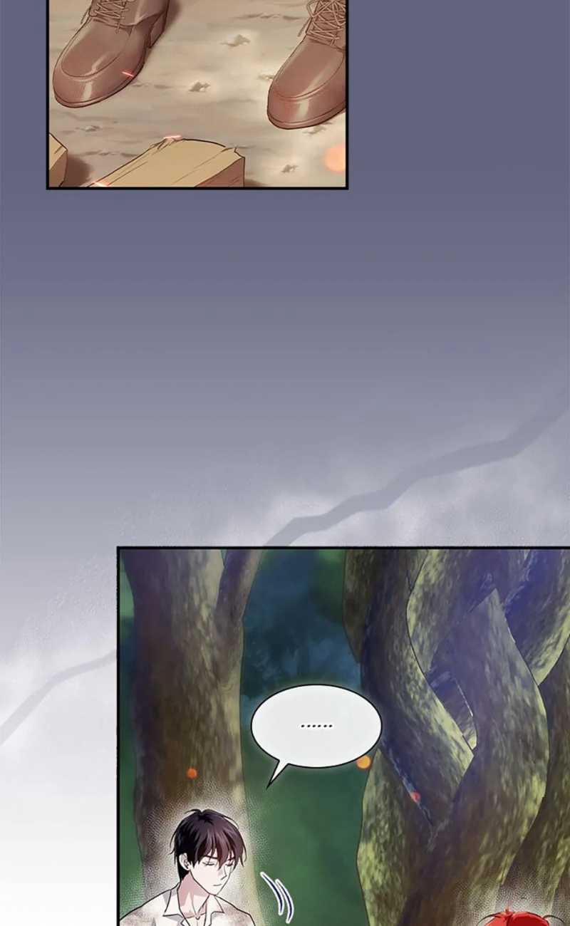 Đi Tìm Con Trai Của Cha Tôi 48 trang 13