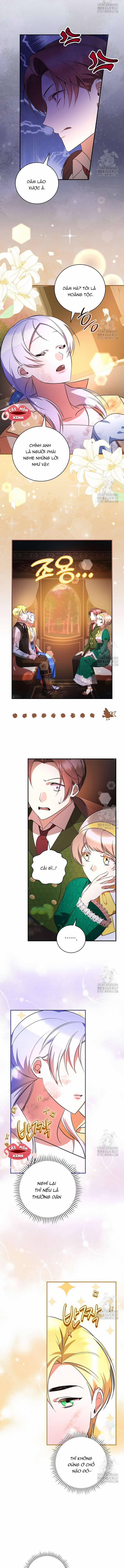 Đi Tìm Nàng Công Chúa Bỏ Trốn 22 trang 3