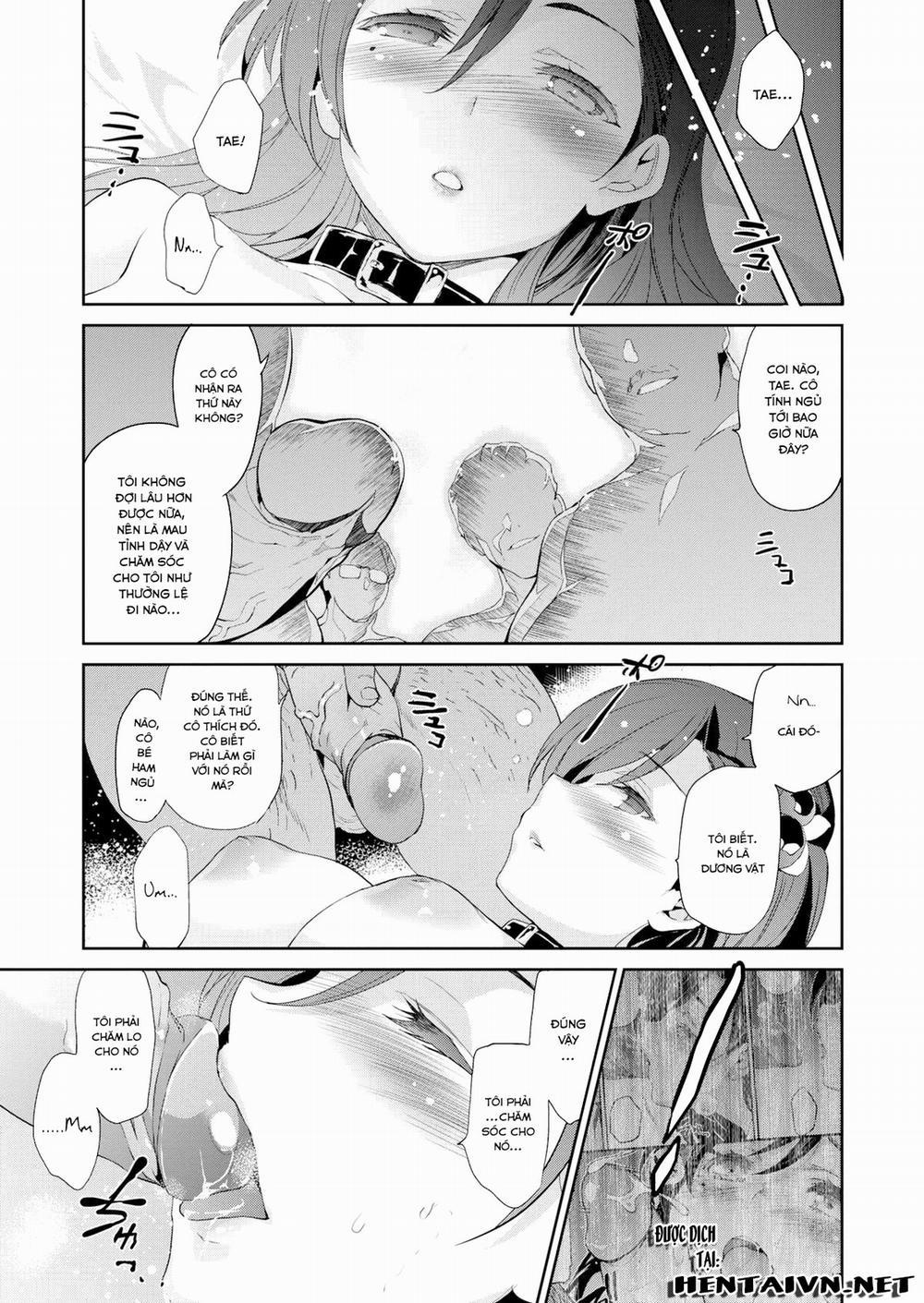 Diamond & Zirconia 3 trang 4