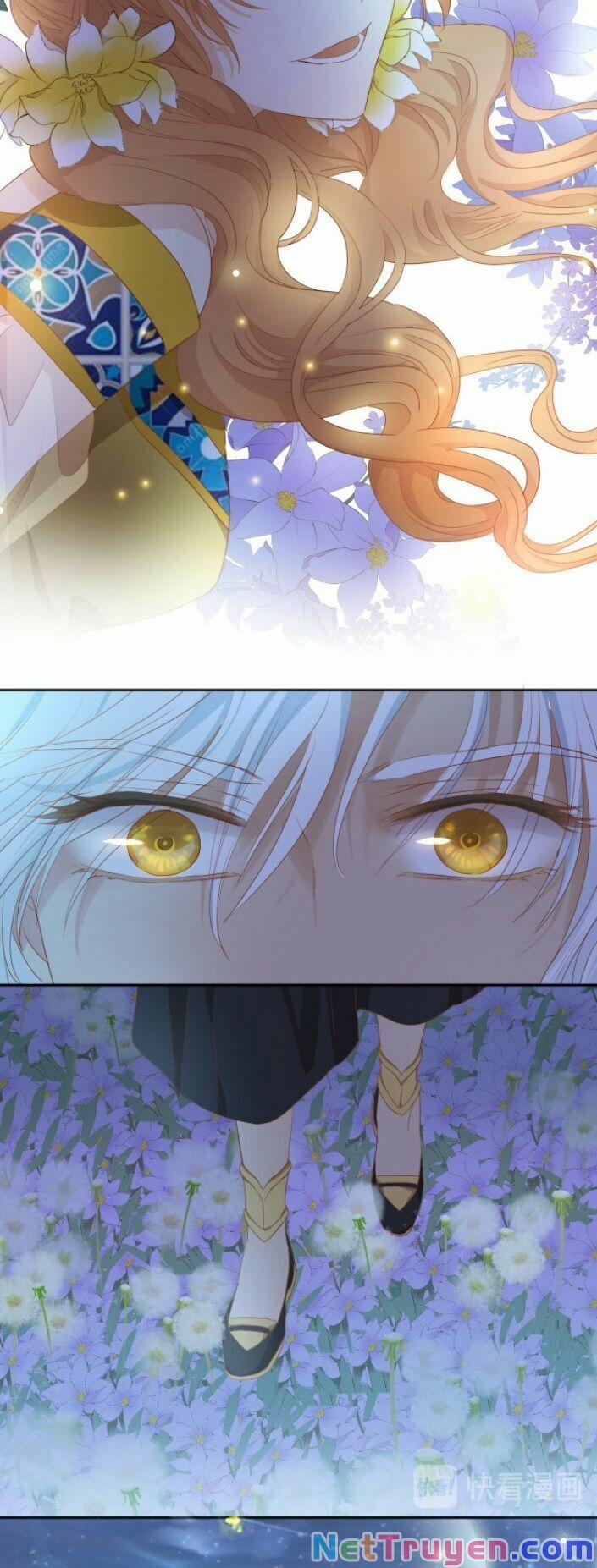 Địch Úc Đa Chi Ca 50 trang 8