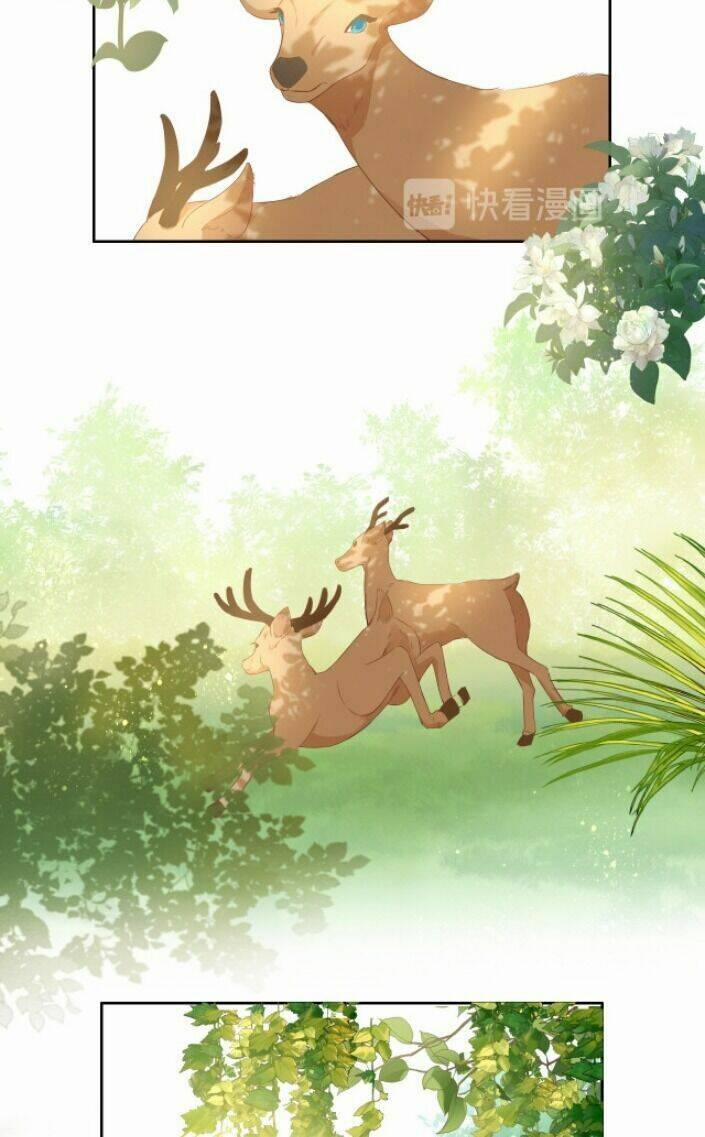 Địch Úc Đa Chi Ca 74 trang 12