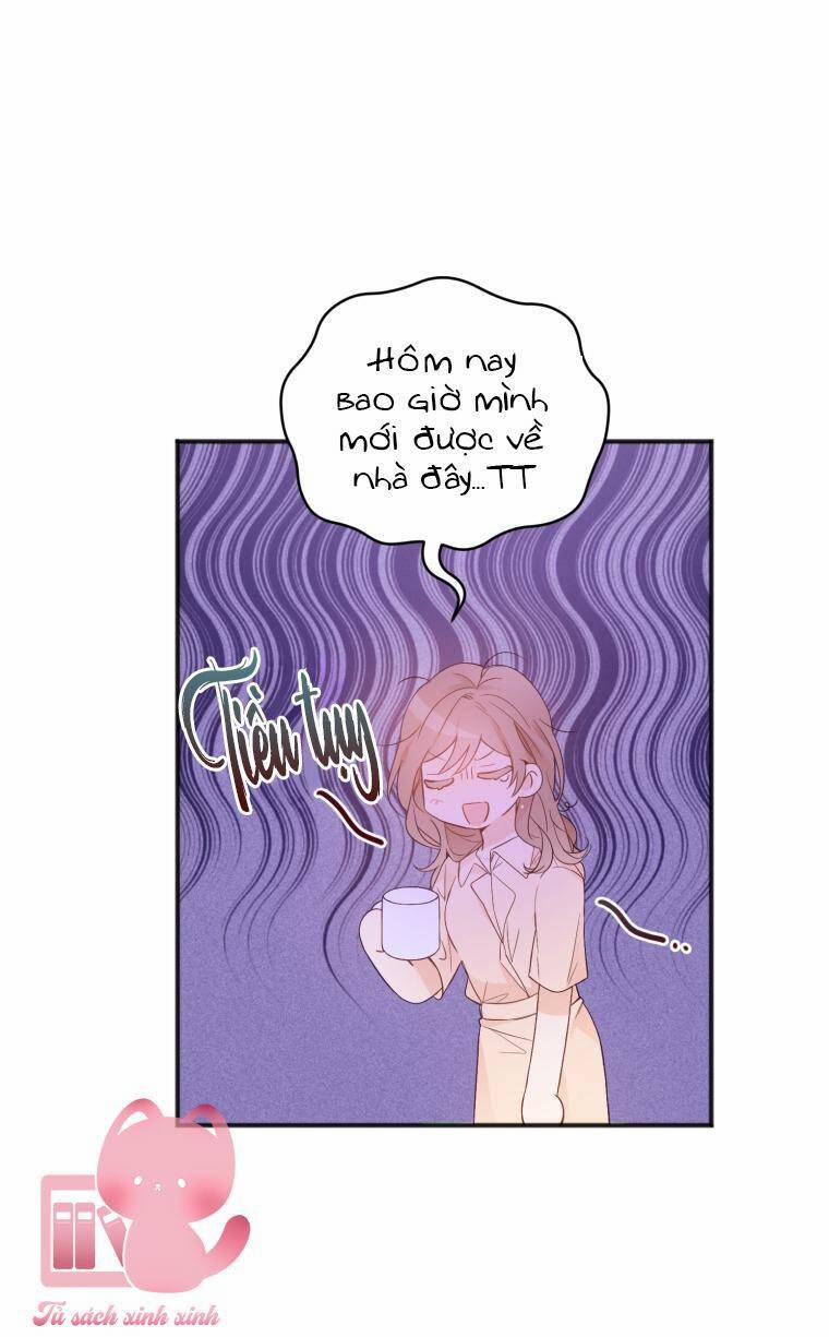 Dịch Vụ Chuyển Phát Hình Mẫu Lý Tưởng 10 trang 18