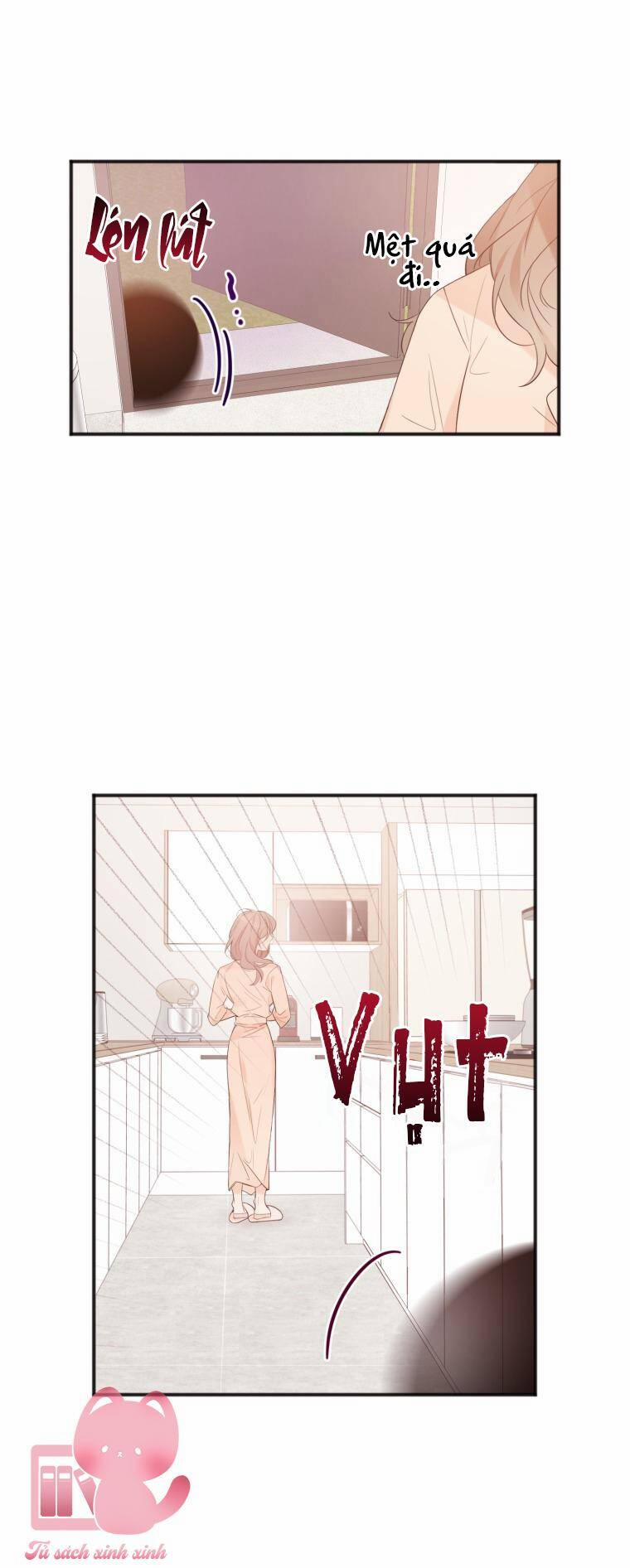 Dịch Vụ Chuyển Phát Hình Mẫu Lý Tưởng 10 trang 19