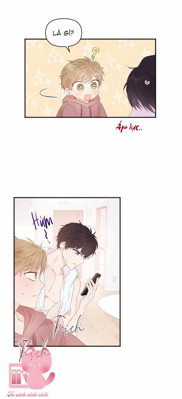 Dịch Vụ Chuyển Phát Hình Mẫu Lý Tưởng 10 trang 30