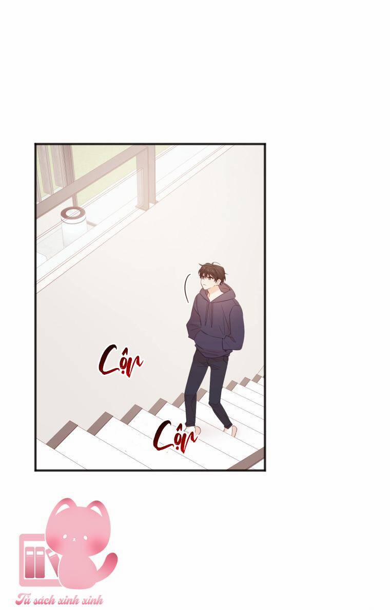 Dịch Vụ Chuyển Phát Hình Mẫu Lý Tưởng 10 trang 48