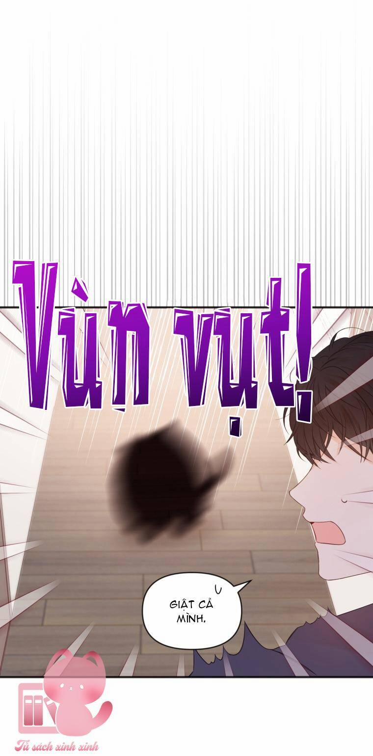 Dịch Vụ Chuyển Phát Hình Mẫu Lý Tưởng 10 trang 49