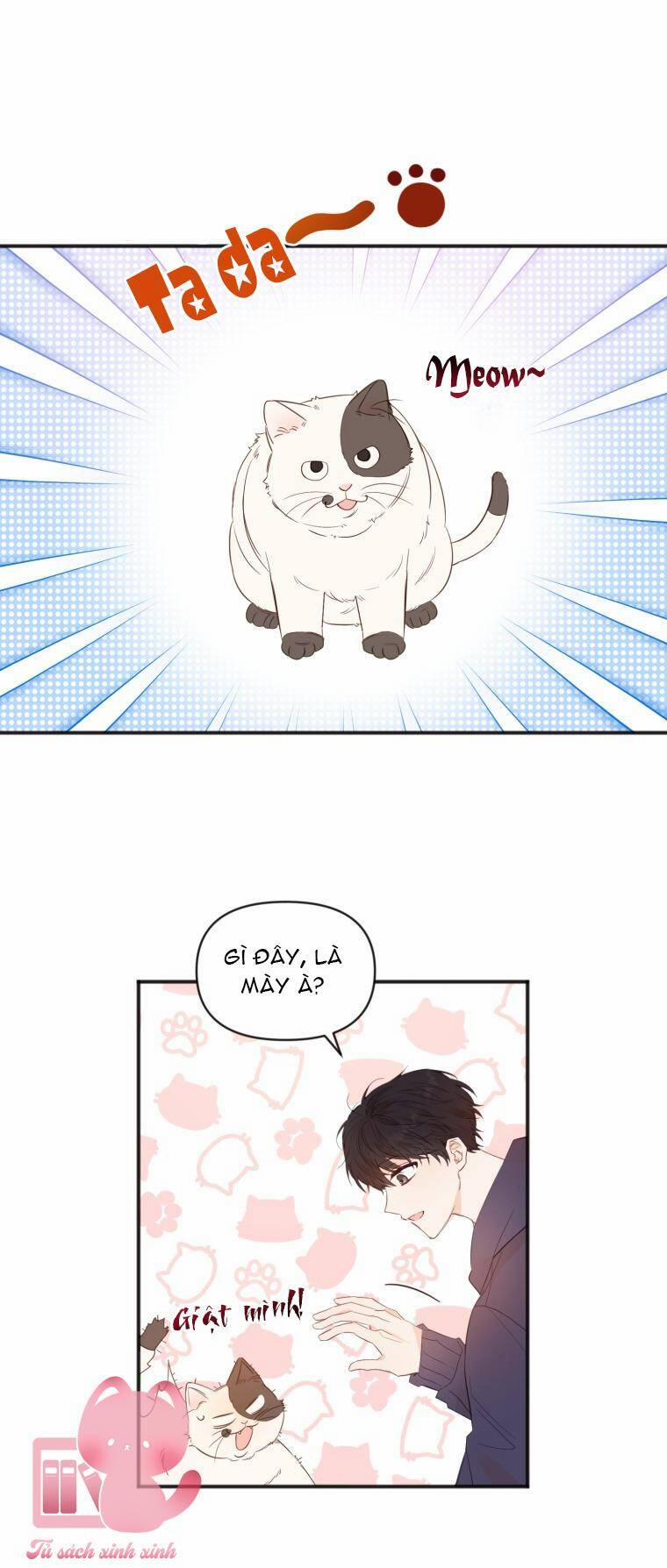 Dịch Vụ Chuyển Phát Hình Mẫu Lý Tưởng 10 trang 50