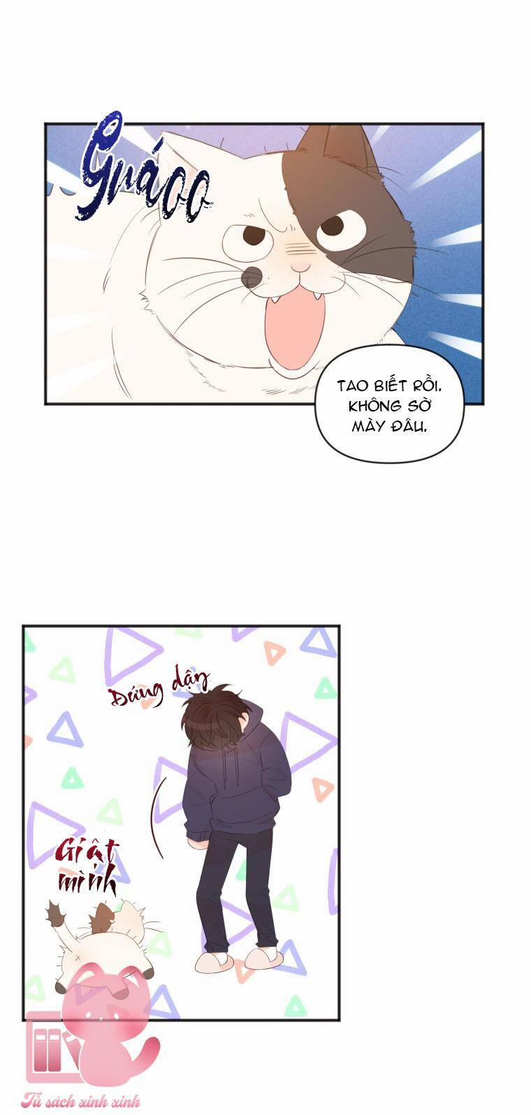 Dịch Vụ Chuyển Phát Hình Mẫu Lý Tưởng 10 trang 51