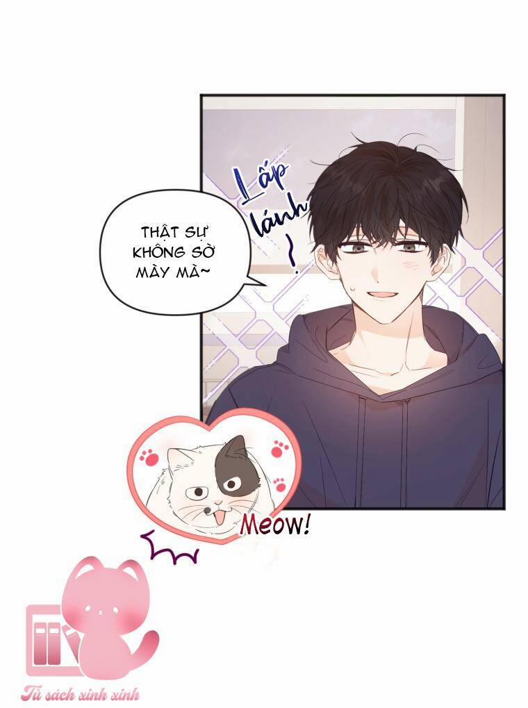 Dịch Vụ Chuyển Phát Hình Mẫu Lý Tưởng 10 trang 52