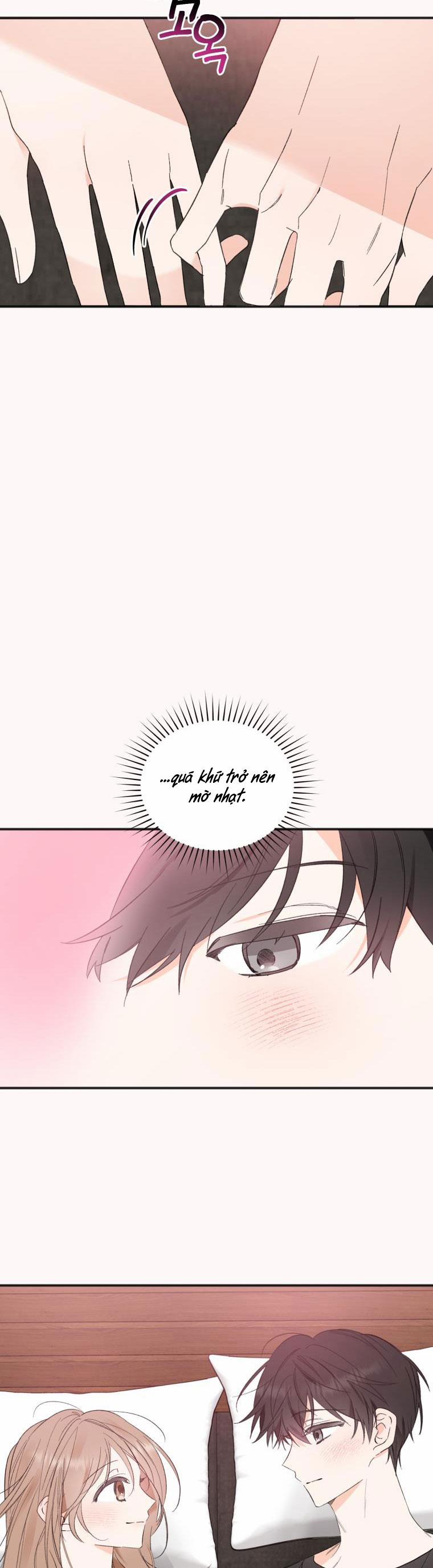 Dịch Vụ Chuyển Phát Hình Mẫu Lý Tưởng 100 trang 12