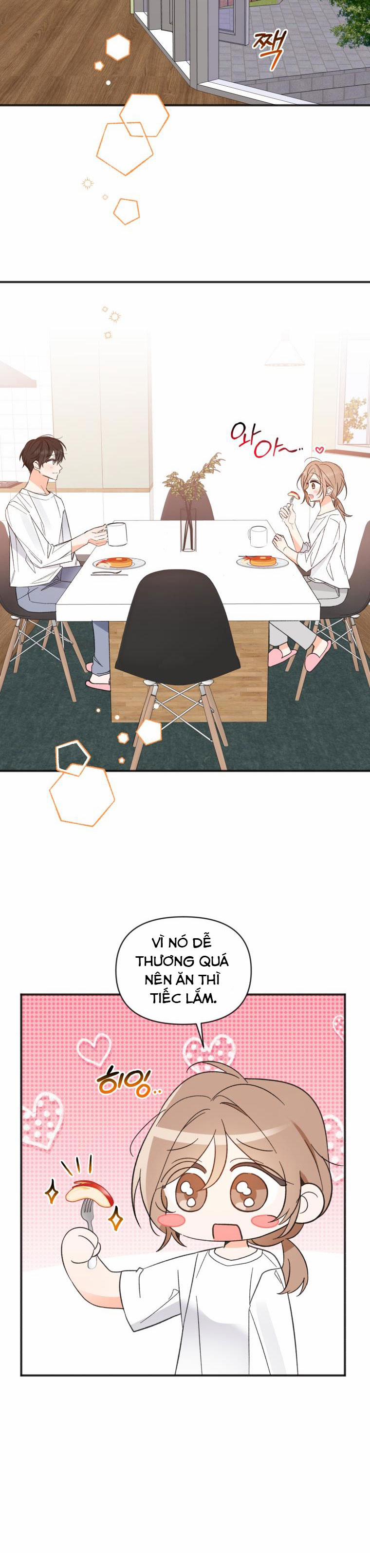 Dịch Vụ Chuyển Phát Hình Mẫu Lý Tưởng 100 trang 20