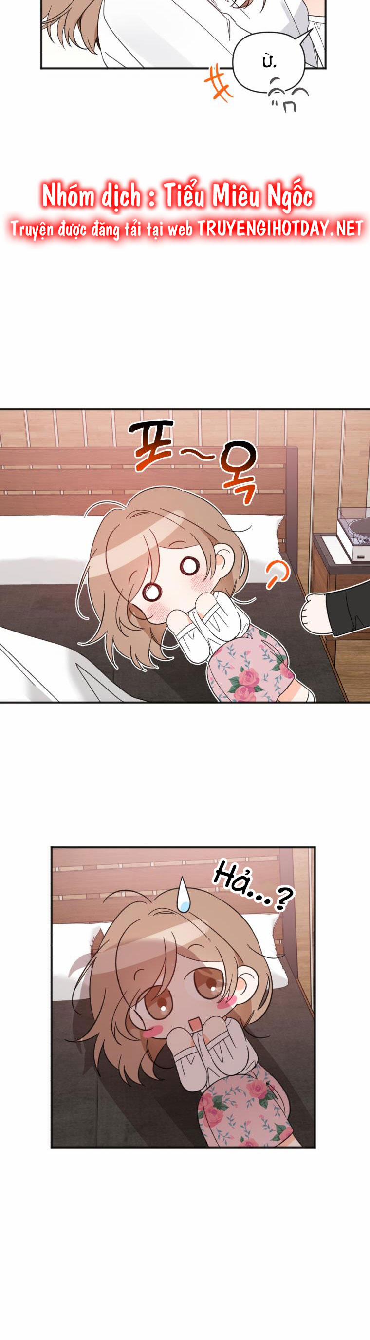 Dịch Vụ Chuyển Phát Hình Mẫu Lý Tưởng 100 trang 8