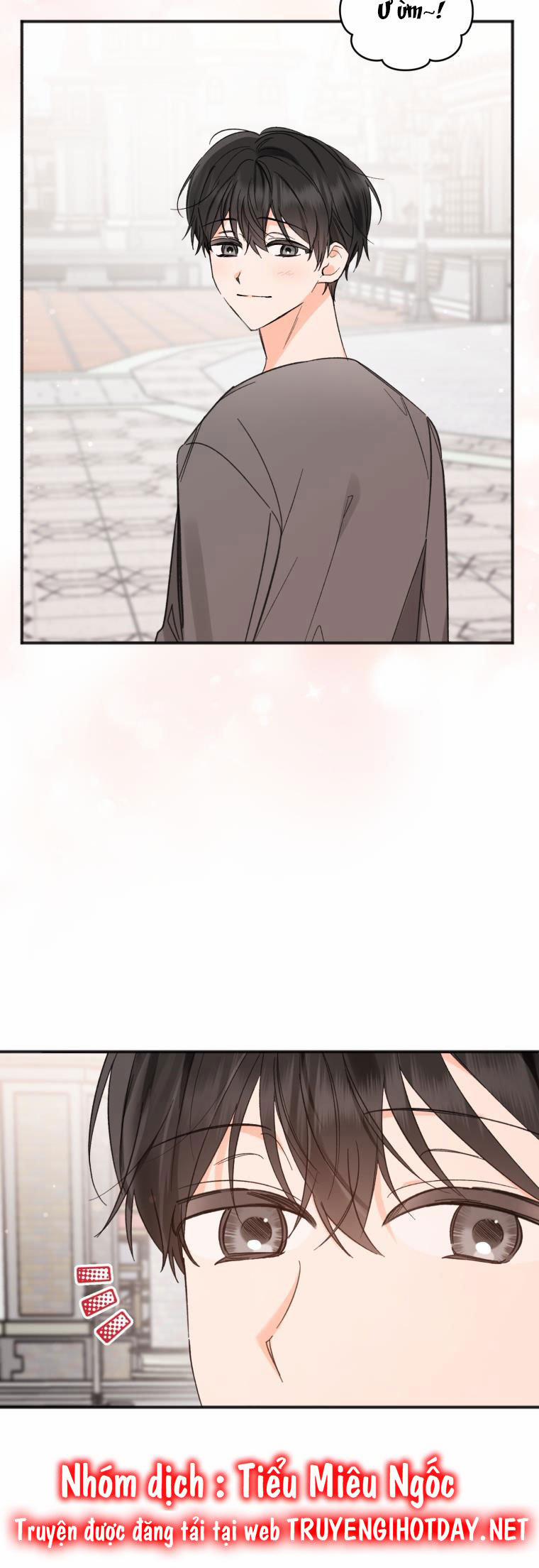 Dịch Vụ Chuyển Phát Hình Mẫu Lý Tưởng 102 trang 10