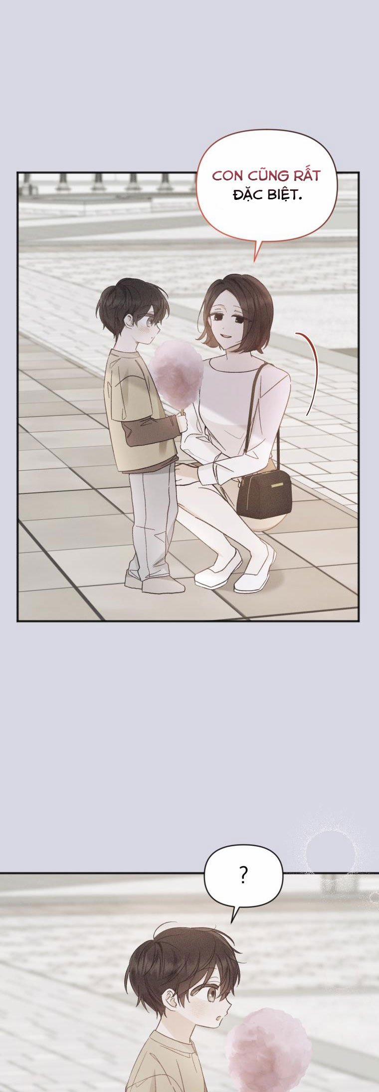 Dịch Vụ Chuyển Phát Hình Mẫu Lý Tưởng 102 trang 2