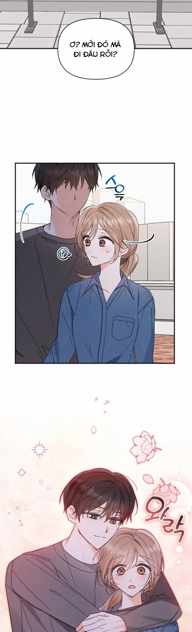 Dịch Vụ Chuyển Phát Hình Mẫu Lý Tưởng 102 trang 20