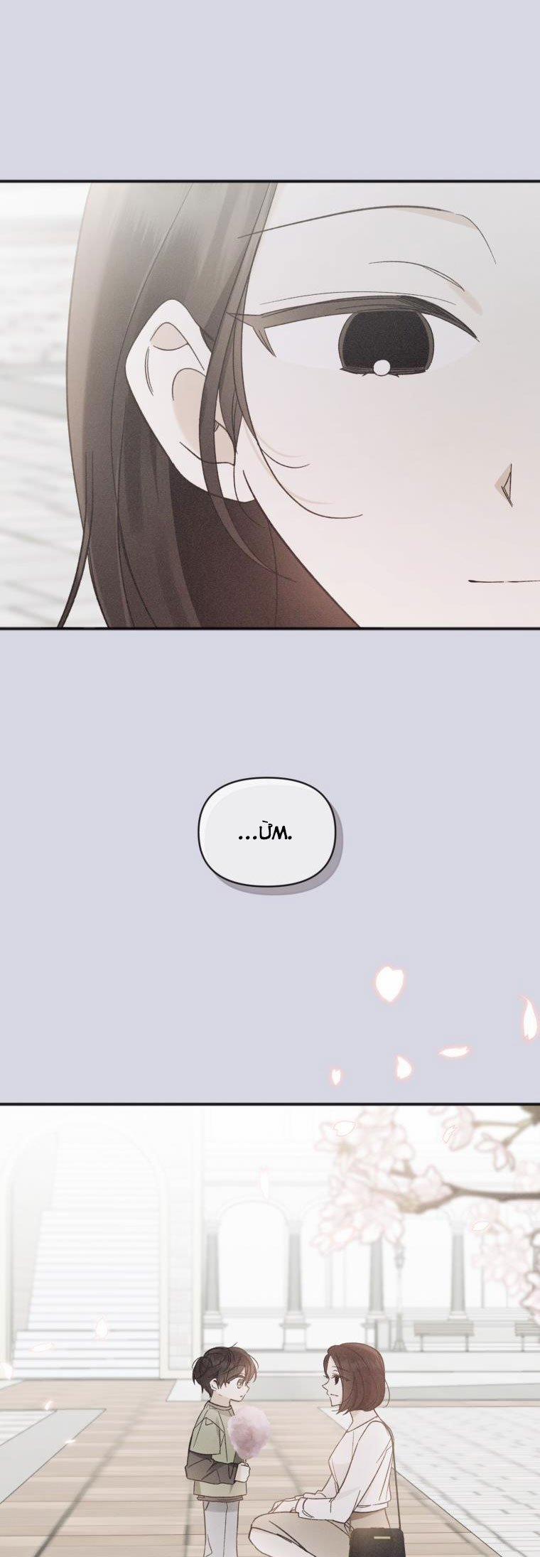 Dịch Vụ Chuyển Phát Hình Mẫu Lý Tưởng 102 trang 4