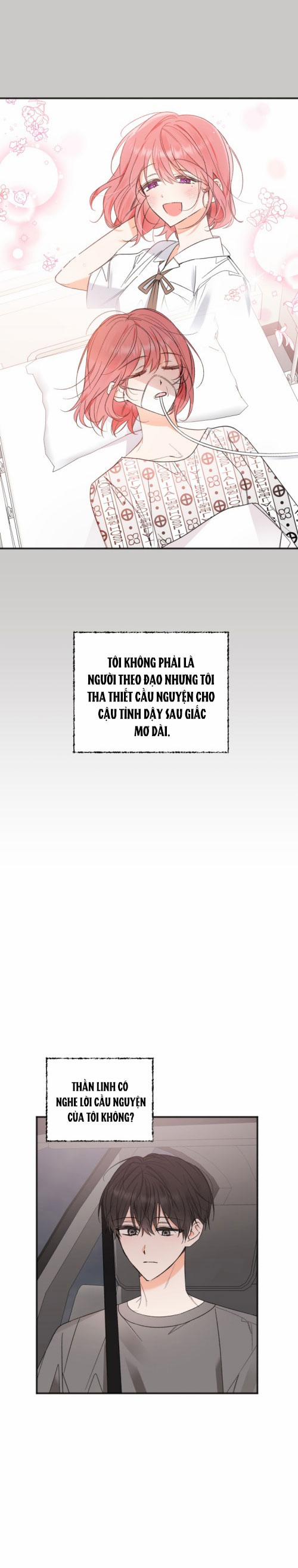 Dịch Vụ Chuyển Phát Hình Mẫu Lý Tưởng 103 trang 4