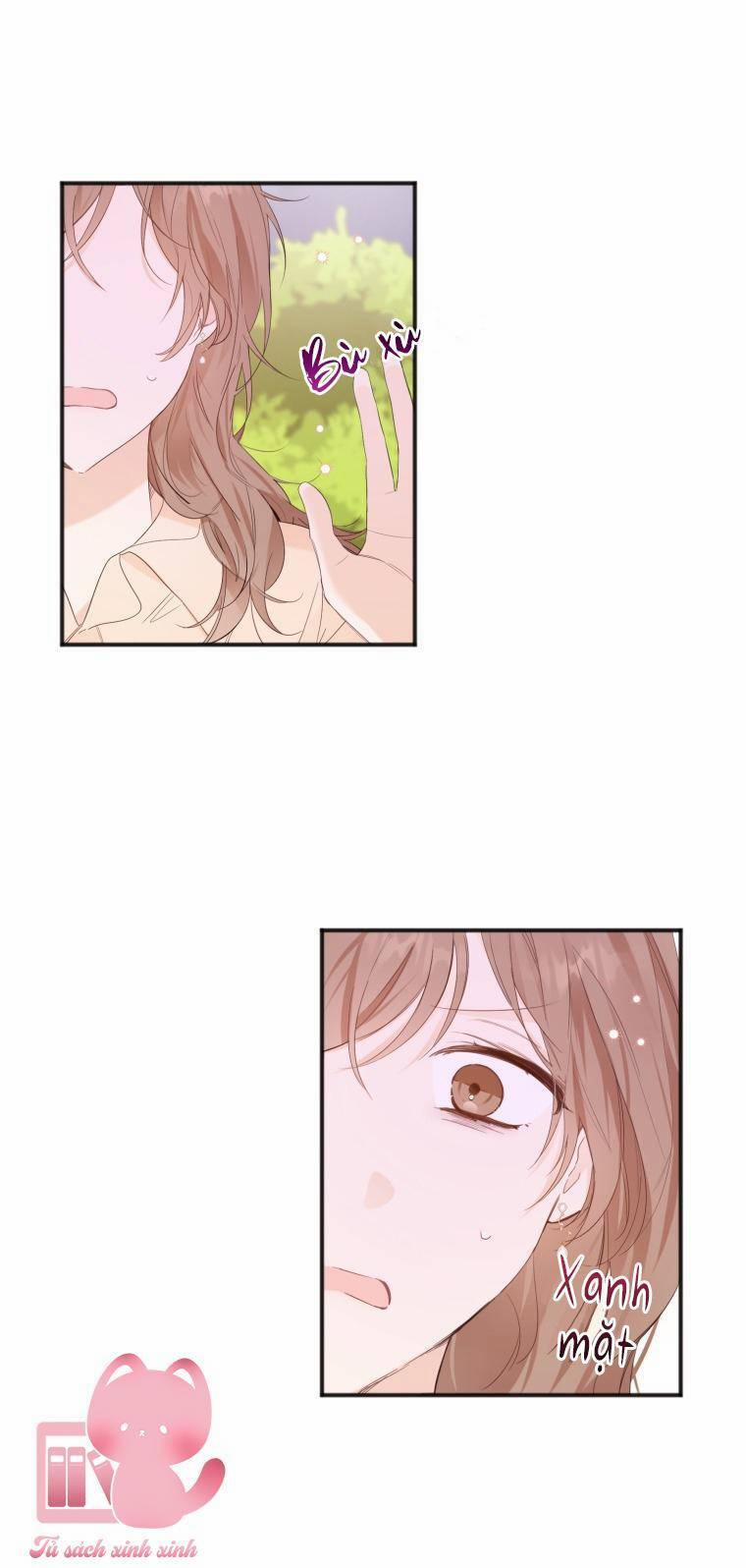 Dịch Vụ Chuyển Phát Hình Mẫu Lý Tưởng 11 trang 11