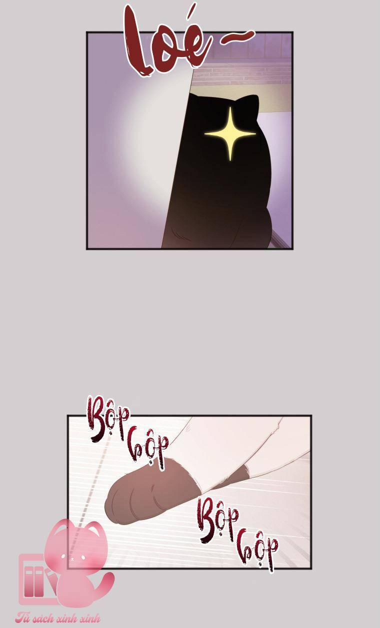 Dịch Vụ Chuyển Phát Hình Mẫu Lý Tưởng 11 trang 19