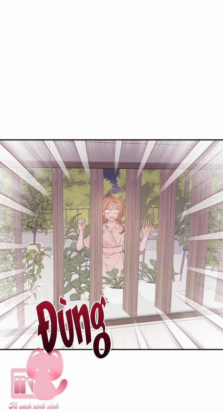 Dịch Vụ Chuyển Phát Hình Mẫu Lý Tưởng 11 trang 4