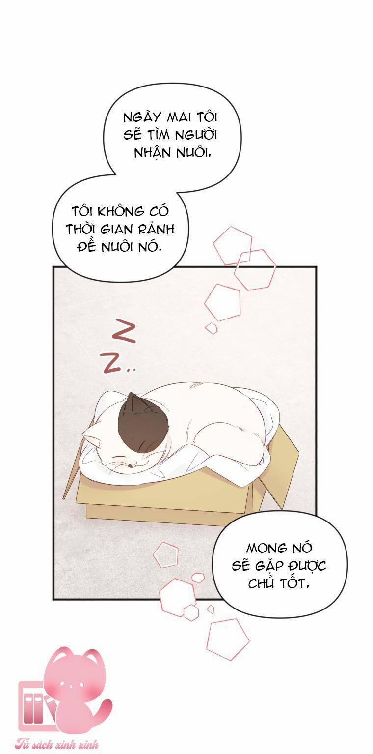 Dịch Vụ Chuyển Phát Hình Mẫu Lý Tưởng 12 trang 13