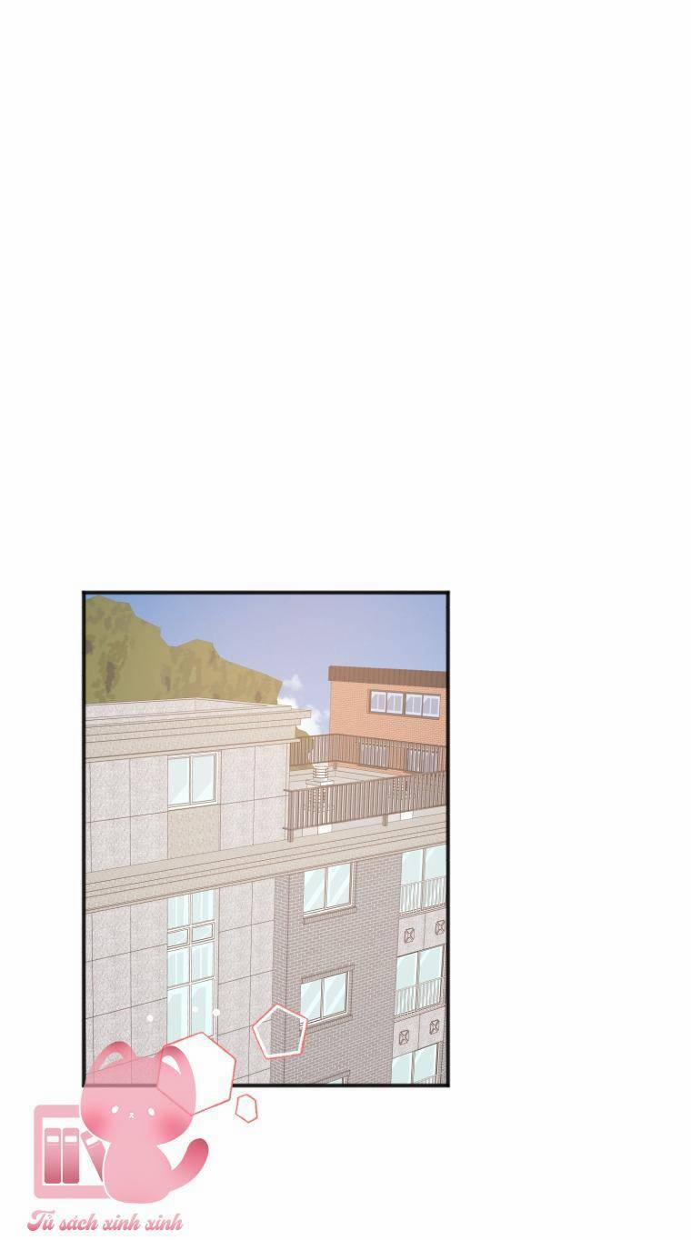 Dịch Vụ Chuyển Phát Hình Mẫu Lý Tưởng 12 trang 15