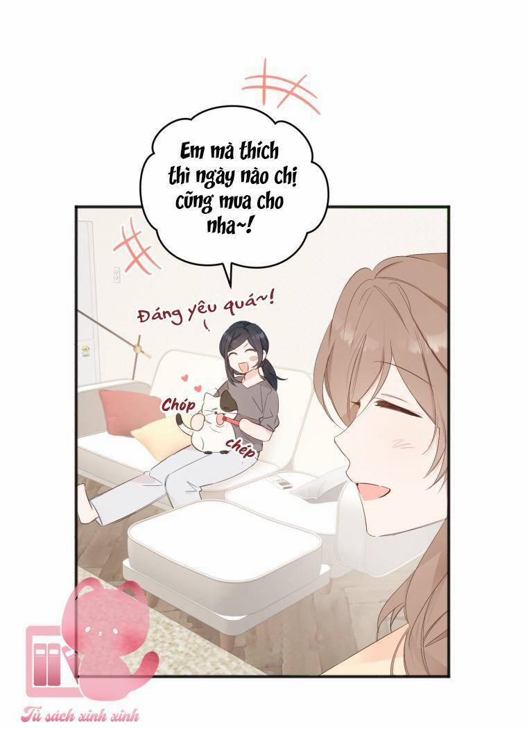 Dịch Vụ Chuyển Phát Hình Mẫu Lý Tưởng 12 trang 17