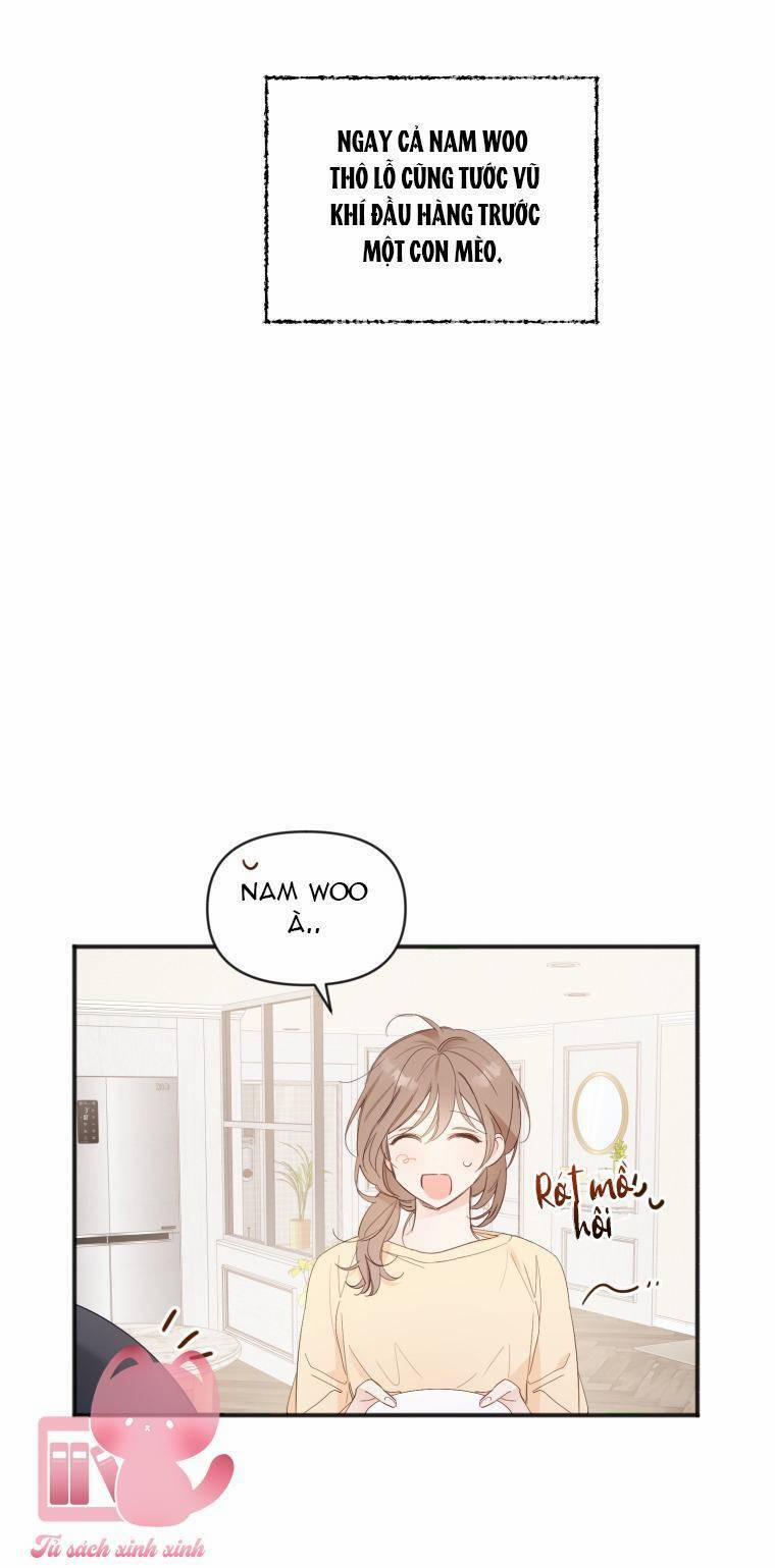 Dịch Vụ Chuyển Phát Hình Mẫu Lý Tưởng 12 trang 18